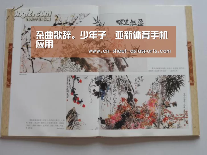  亚新体育手机应用