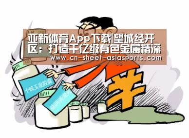  亚新体育手机应用