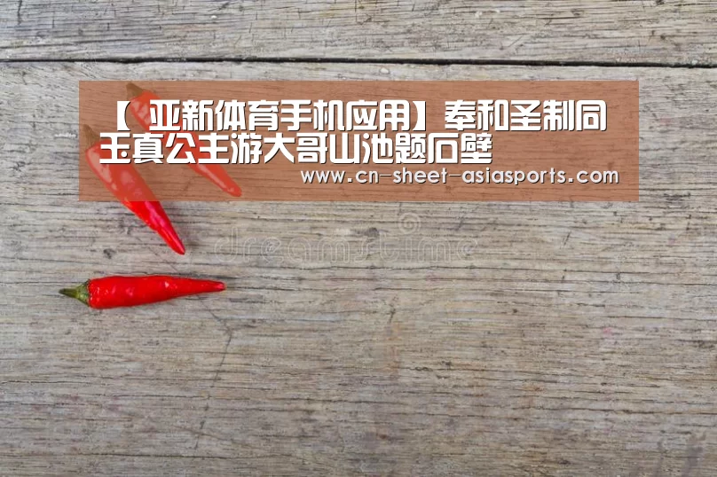  亚新体育手机应用
